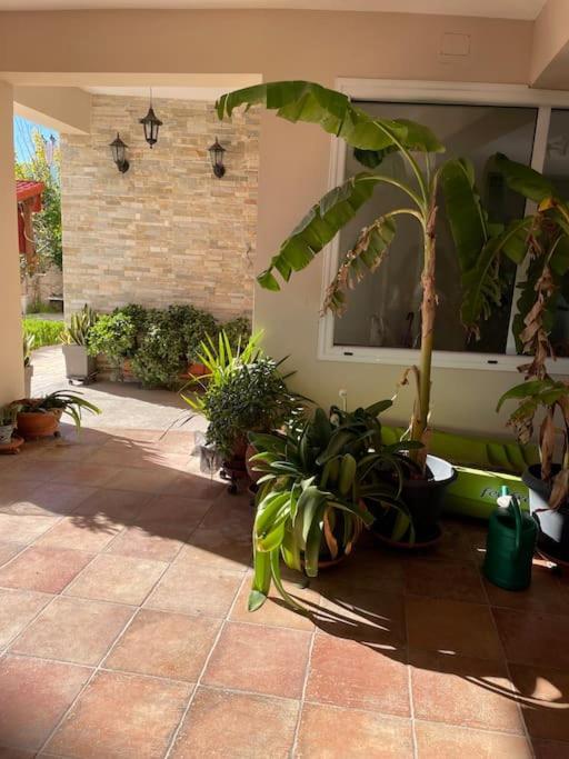 Sea View Studio Kirra Экстерьер фото