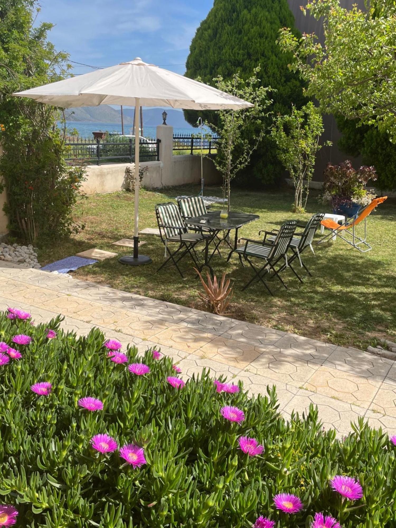 Sea View Studio Kirra Экстерьер фото