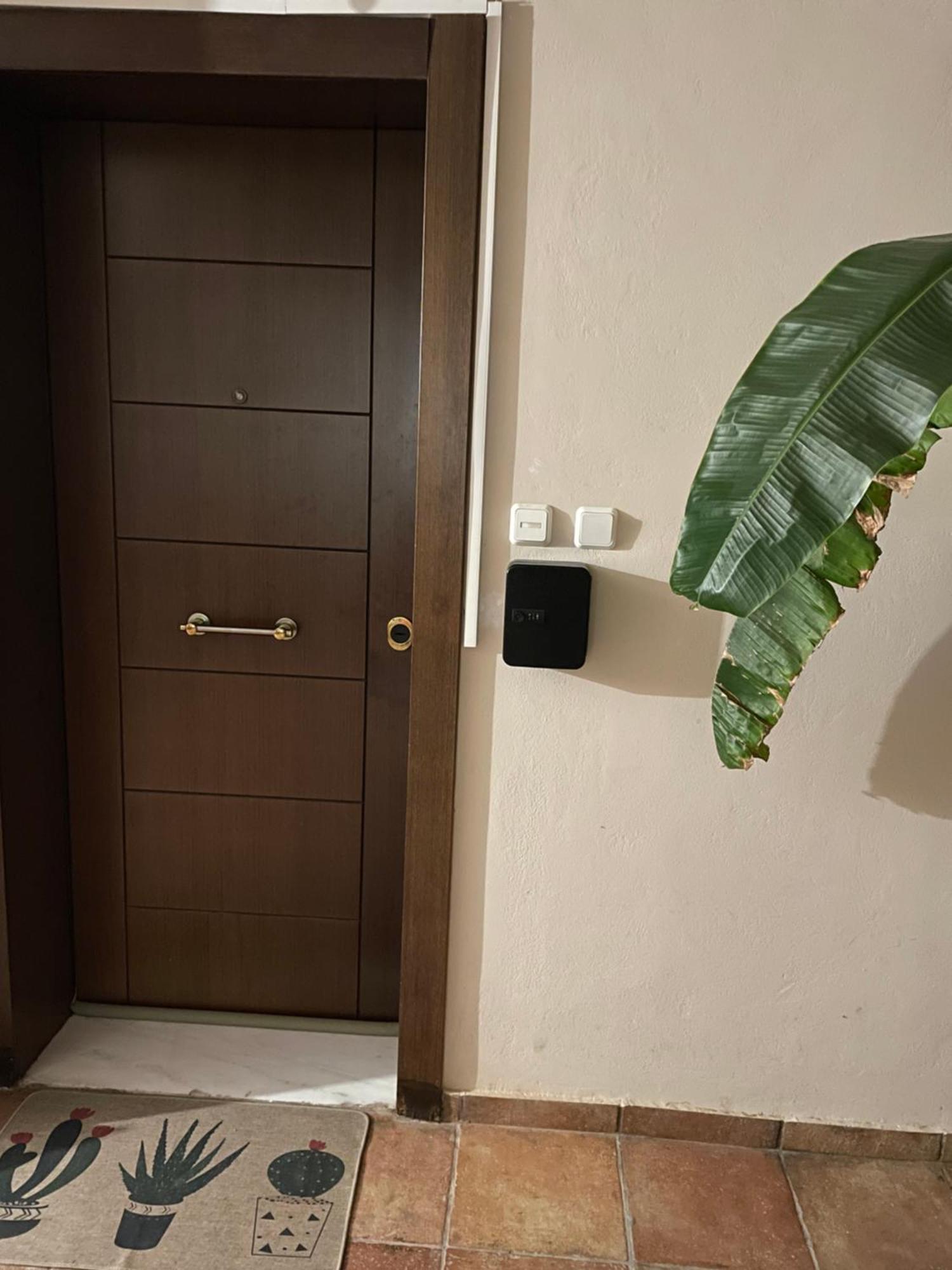 Sea View Studio Kirra Экстерьер фото